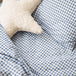 Dusty Blue Gingham